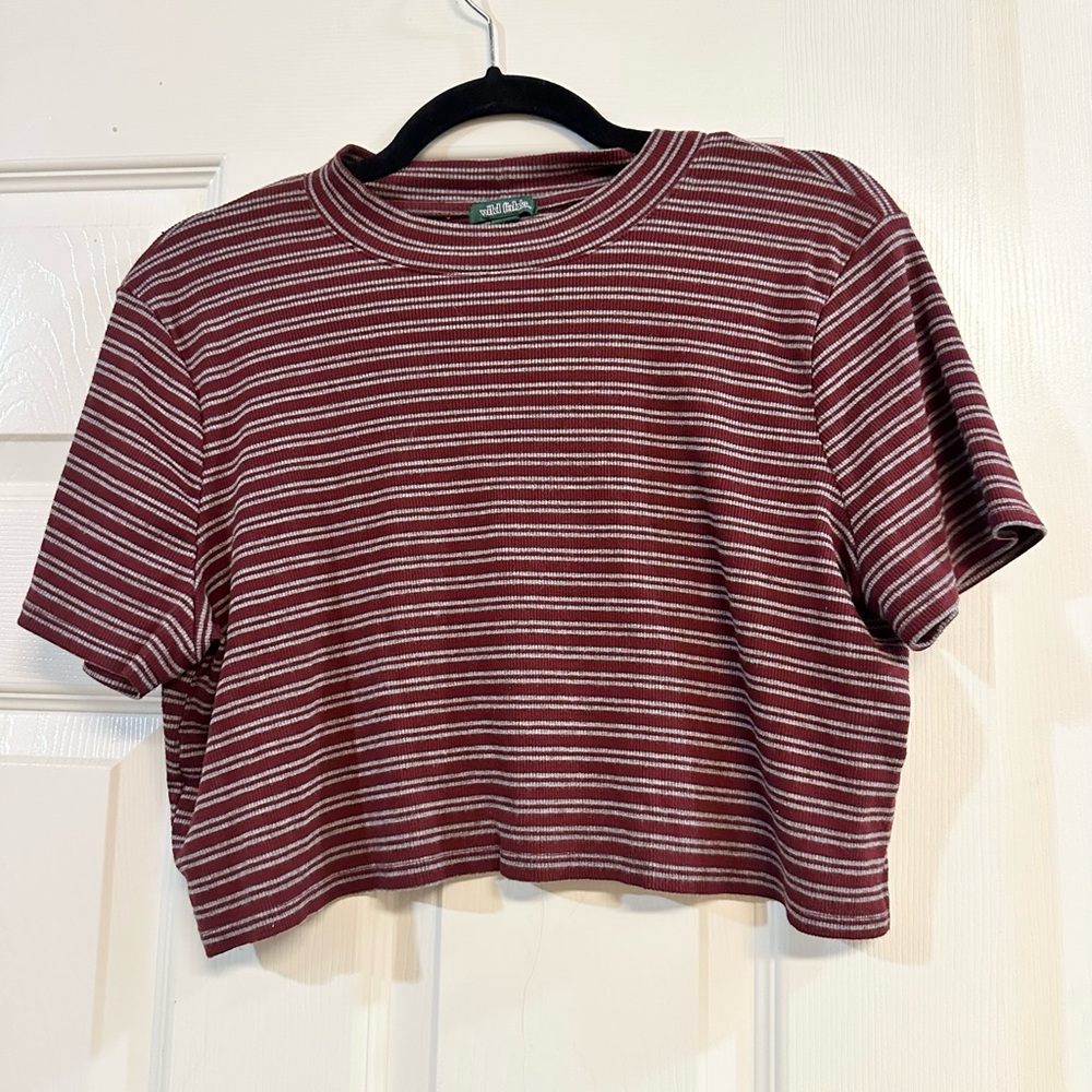 Wild Fable - Large - Maroon Stripe